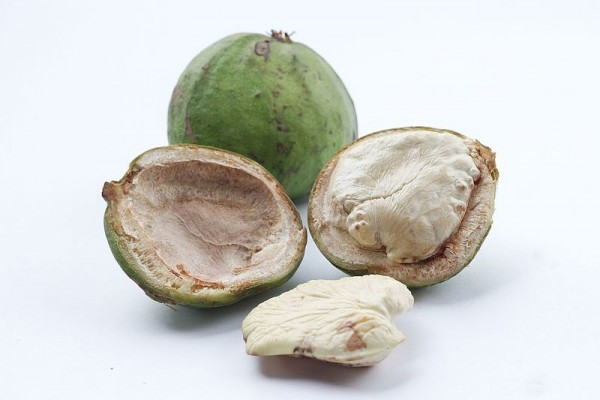 Inilah 7 Manfaat Buah Gayam bagi Kesehatan Mengobati Sariawan Hingga Diare