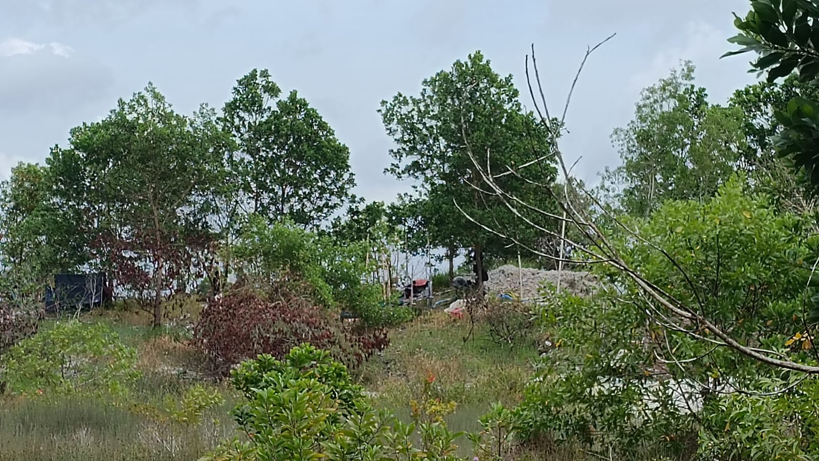 Polisi dan TNI Akan Selidiki Aktivitas Tambang Merbuk