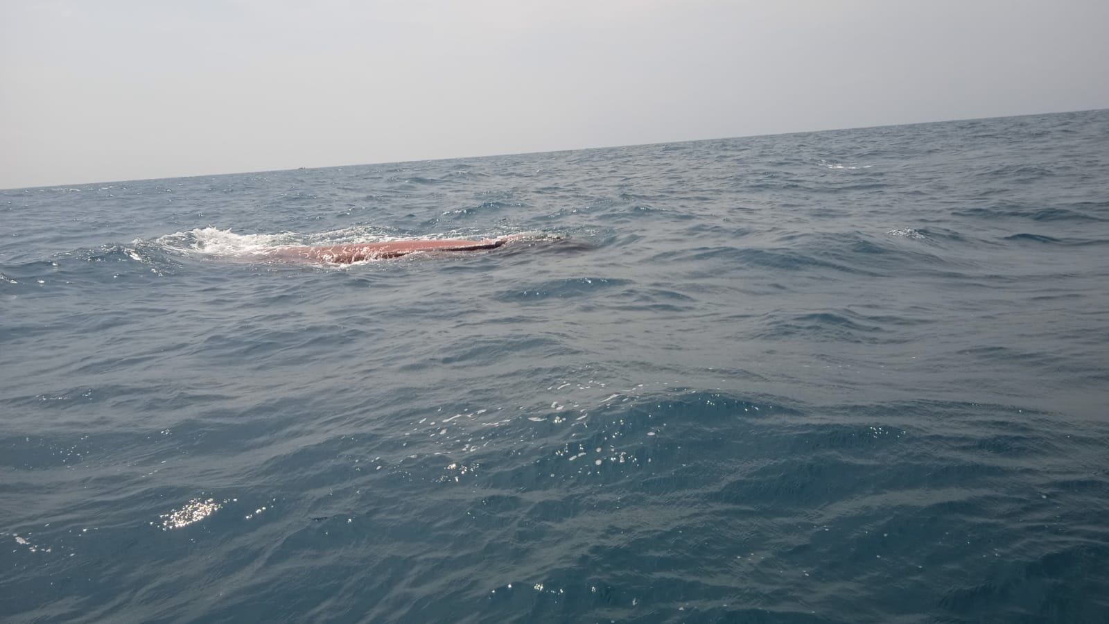 Kapal Nelayan Terbalik Setelah Dihantam Gelombang Setinggi Dua Meter di Laut Matras