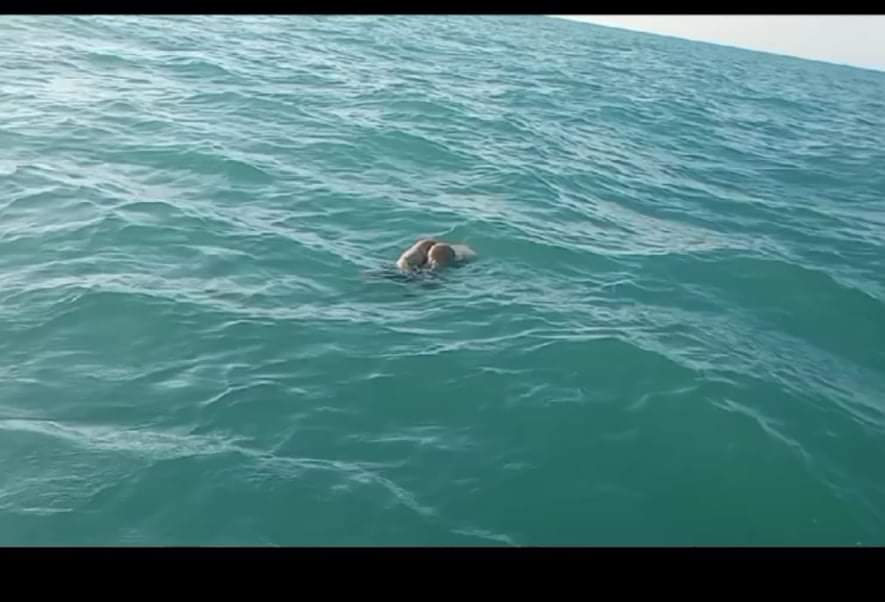 Mayat Tanpa Kepala di Perairan Tuing Sempat Bikin Heboh, Ridwan: Boneka Tanpa Pakaian