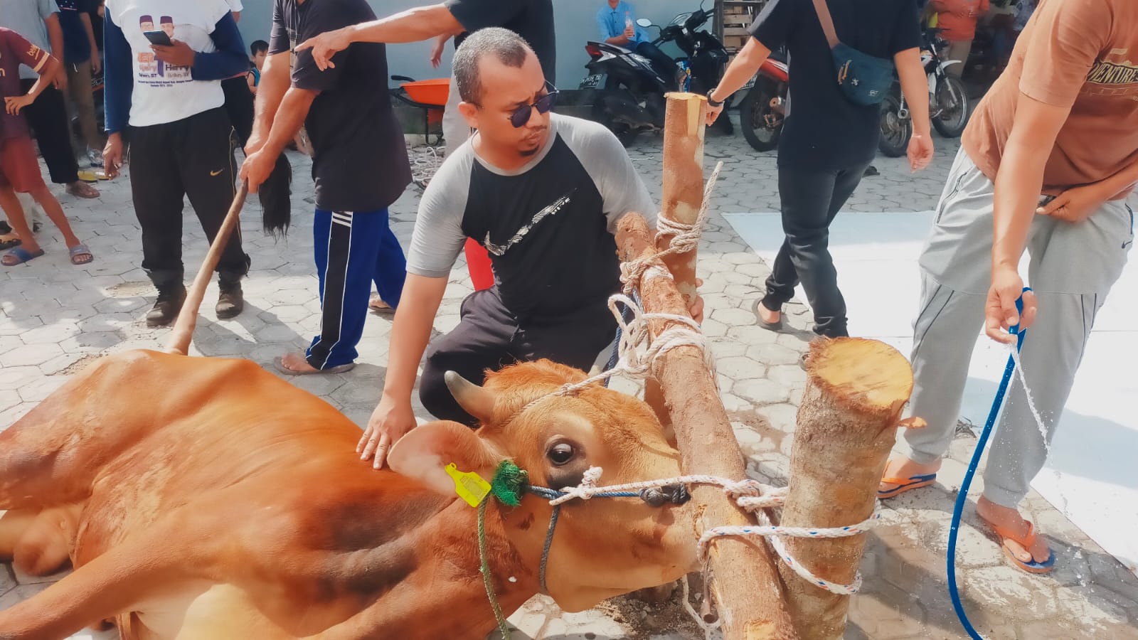 DPD PKS Bangka Tengah Bagikan 600 Paket Kurban