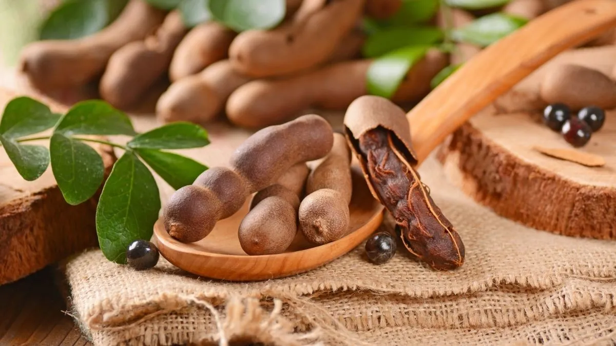 Inilah 5 Manfaat Asam Jawa Bagi Kesehatan, Menjaga Jantung Hingga Turunkan Berat Badan