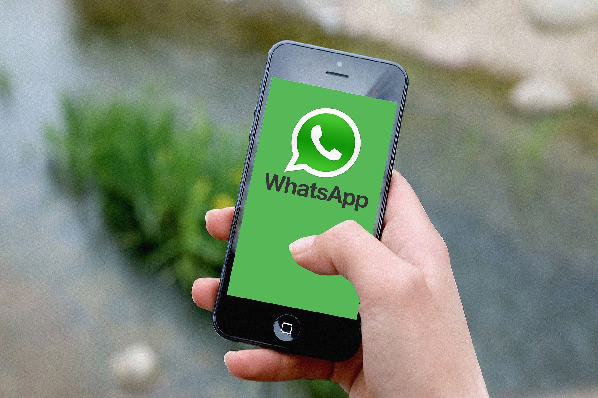 Kenapa Status Whatsapp Tidak Muncul, Karena Privasi atau Diblokir? Berikut 3 Cara Mengatasinya