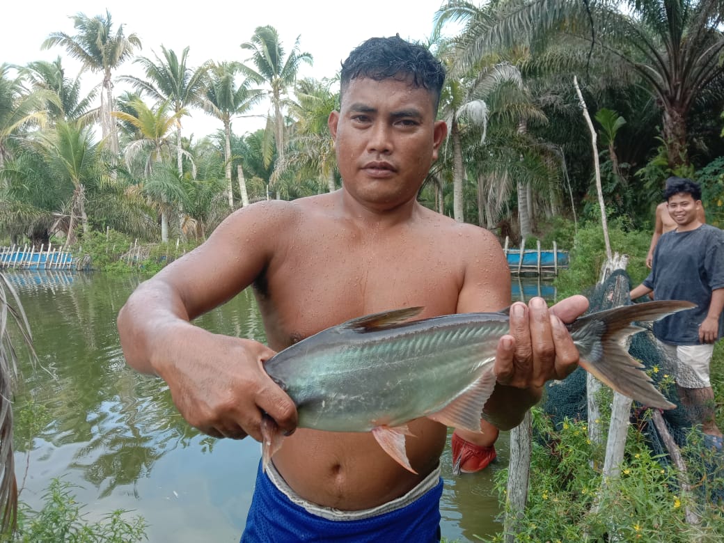 Sekali Panen, Suryadi Bisa Untung Rp 20 Juta