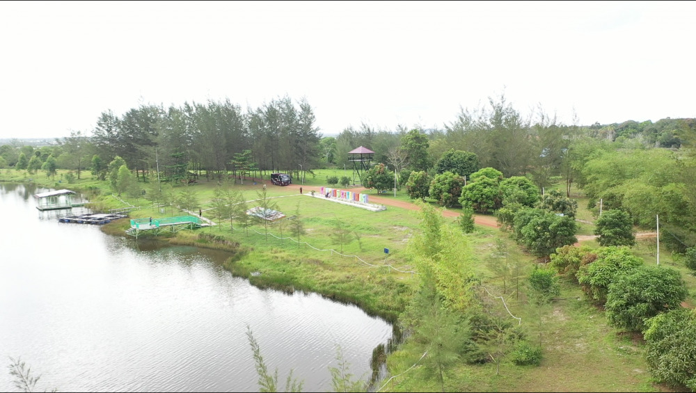 Kuartal Tiga 2023, PT Timah Reklamasi 273,73 Hektar Lahan Ex Tambang