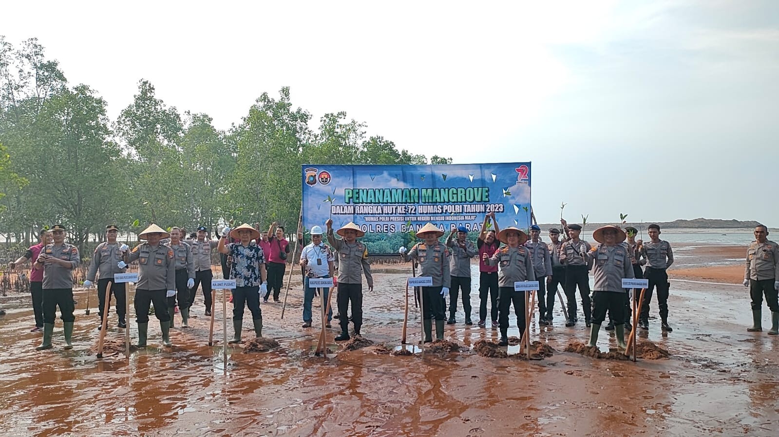 Polres Bangka Barat dan PT Timah Tanam 500 Mangrove di Sungai Baru