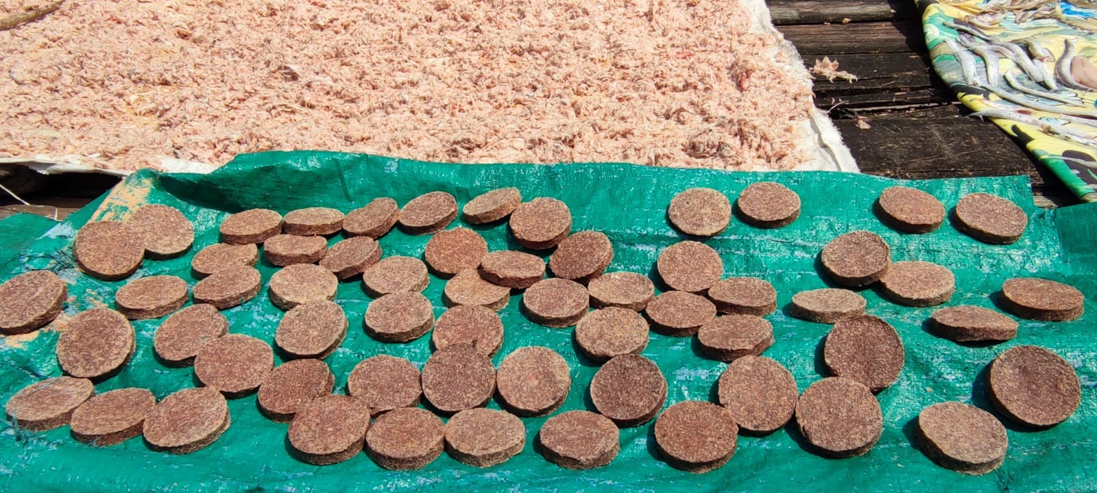 Usaha Terasi Hamid Semakin Maju Berkat PUMK PT Timah