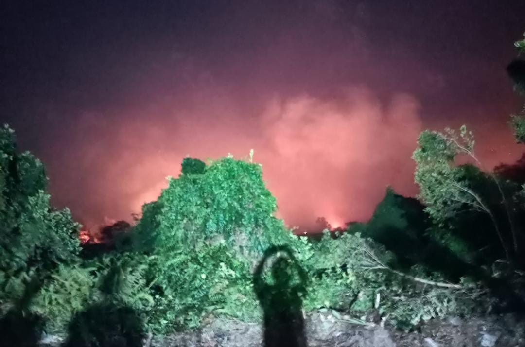 Sudah Empat Hari Hutan Kota Koba Terbakar, Warga Mulai Ngungsi