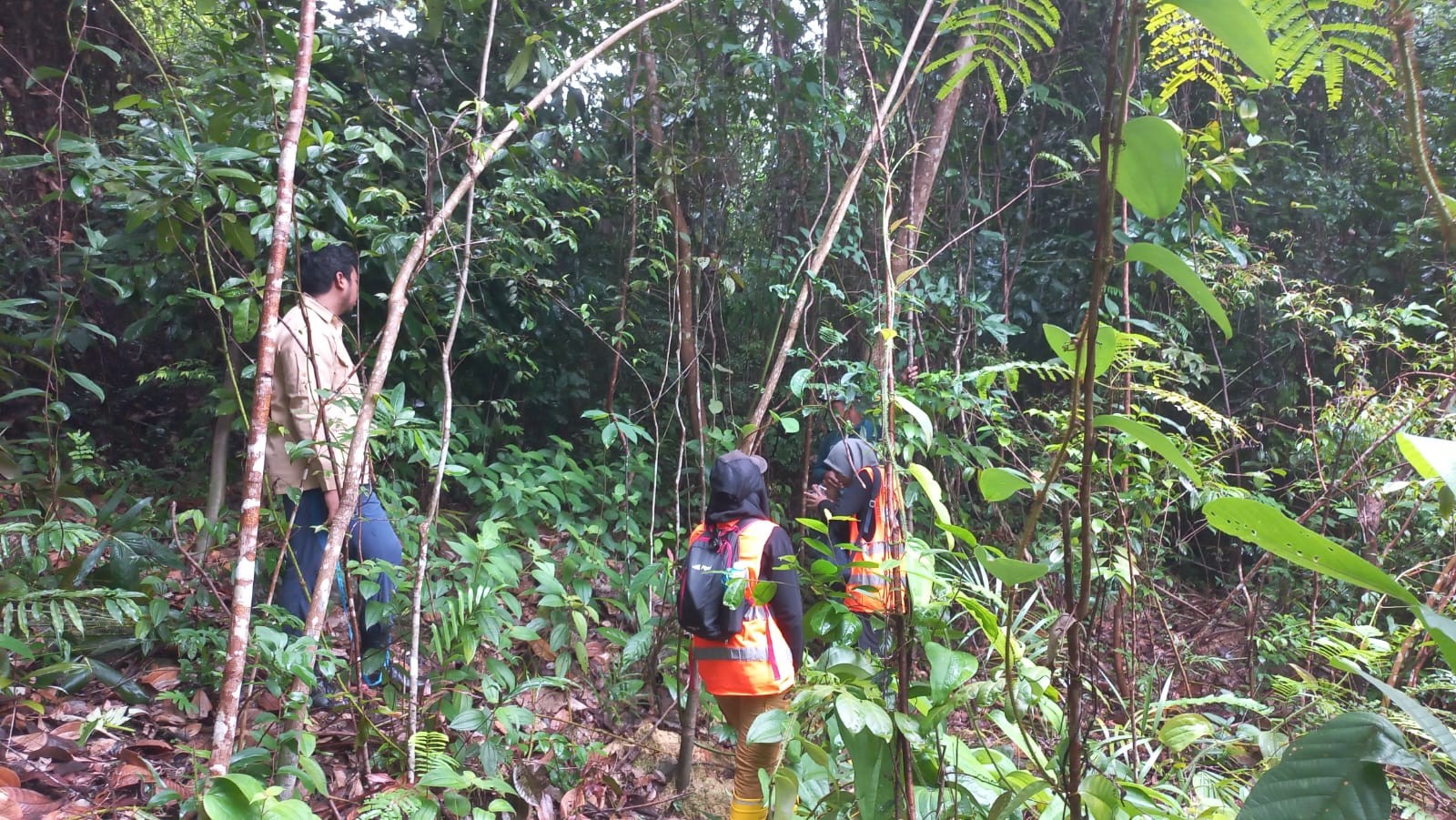 Hutan Kehati Jaga Flora dan Fauna Endemik Mentok dan Kundur