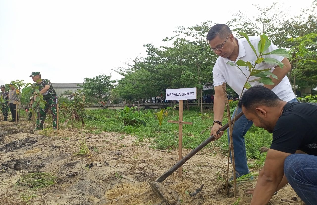 Cegah Banjir, Pesisir Pantai Teluk Rubiah Ditanami Mangrove dan Pucuk Merah