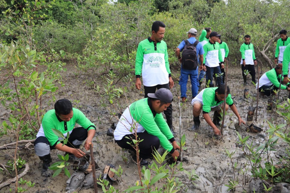 Cegah Abrasi di Pesisir Pantai Kundur, PT Timah Tanam 12 Ribu Mangrove