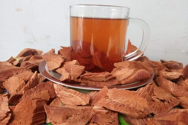 Review 8 Manfaat Akar Bajakah untuk Kesehatan Tubuh