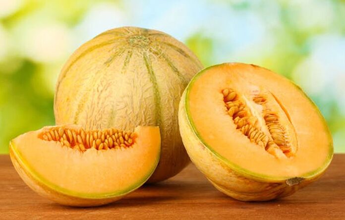 Ini 10 Manfaat Buah Blewah untuk Kesehatan yang Jarang Orang Ketahui, Berikut Faktanya