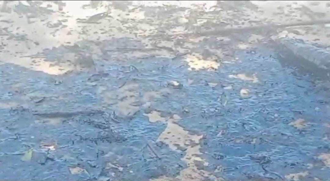 Minyak Hitam Selimuti Pesisir Pantai Penyak Hingga Lubuk Besar