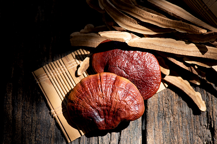 Kenali Manfaat Jamur Ganoderma, Obat Herbal Penurun Kolesterol dan Kanker