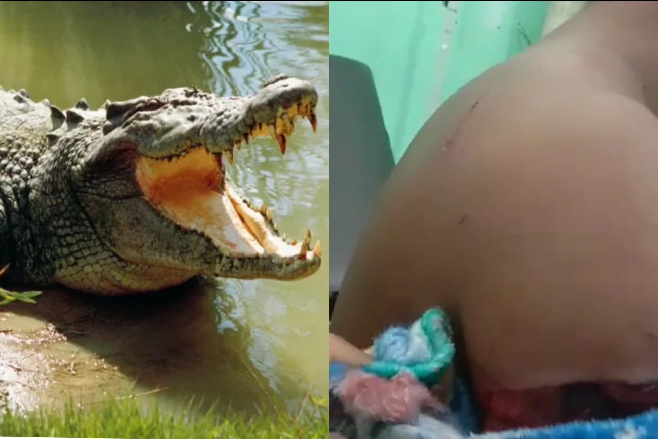 Arjo Gigit Mulut Buaya