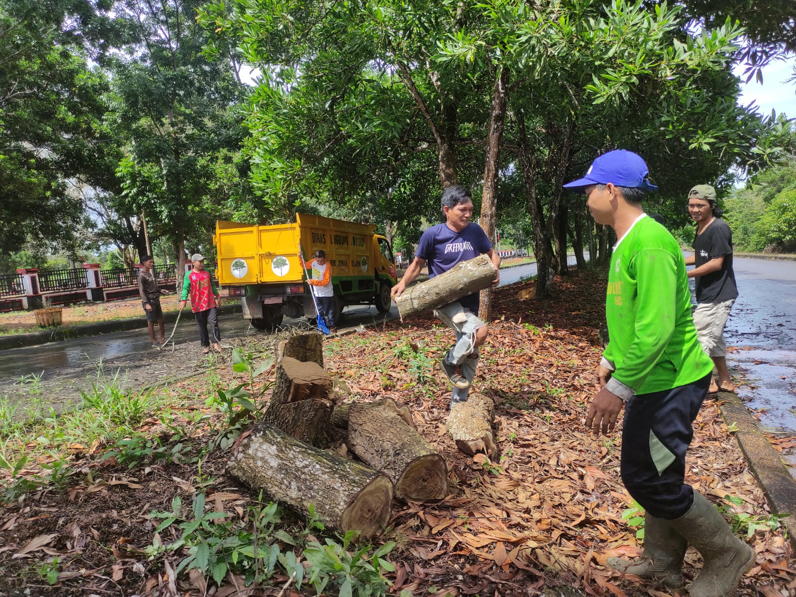 Sering Hujan, DLH Bangka Selatan Bersihkan Pohon Mati di Pinggir Jalan