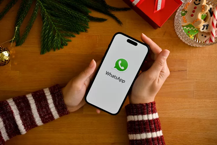 Status Online WhatsApp Terlihat Offline, Begini 3 Cara Menyembunyikannya