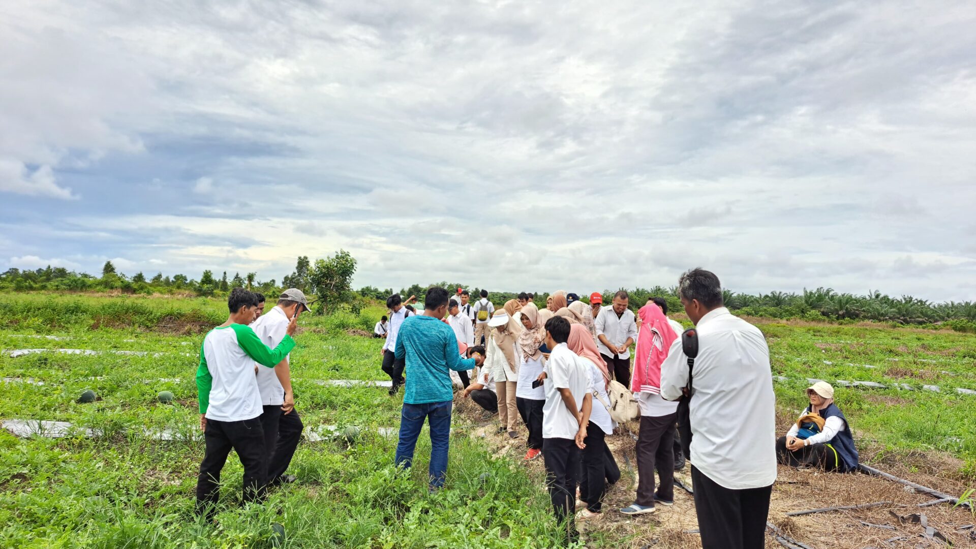 Hasilkan 20 Ton Semangka di Lahan Berpasir, 50 Penyuluh Kunjungi Gapoktan Krio Panting