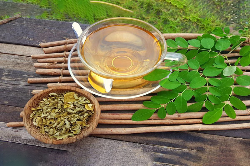 8 Manfaat Air Rebusan Daun Kelor untuk Kesehatan Tubuh