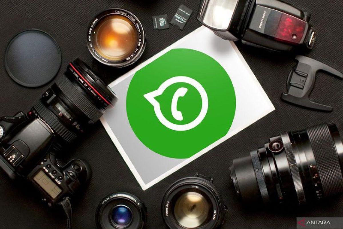 Mengenal Fitur Favorites Chat WhatsApp untuk Kontak atau Grup Penting, Berikut 4 Cara Menggunakannya