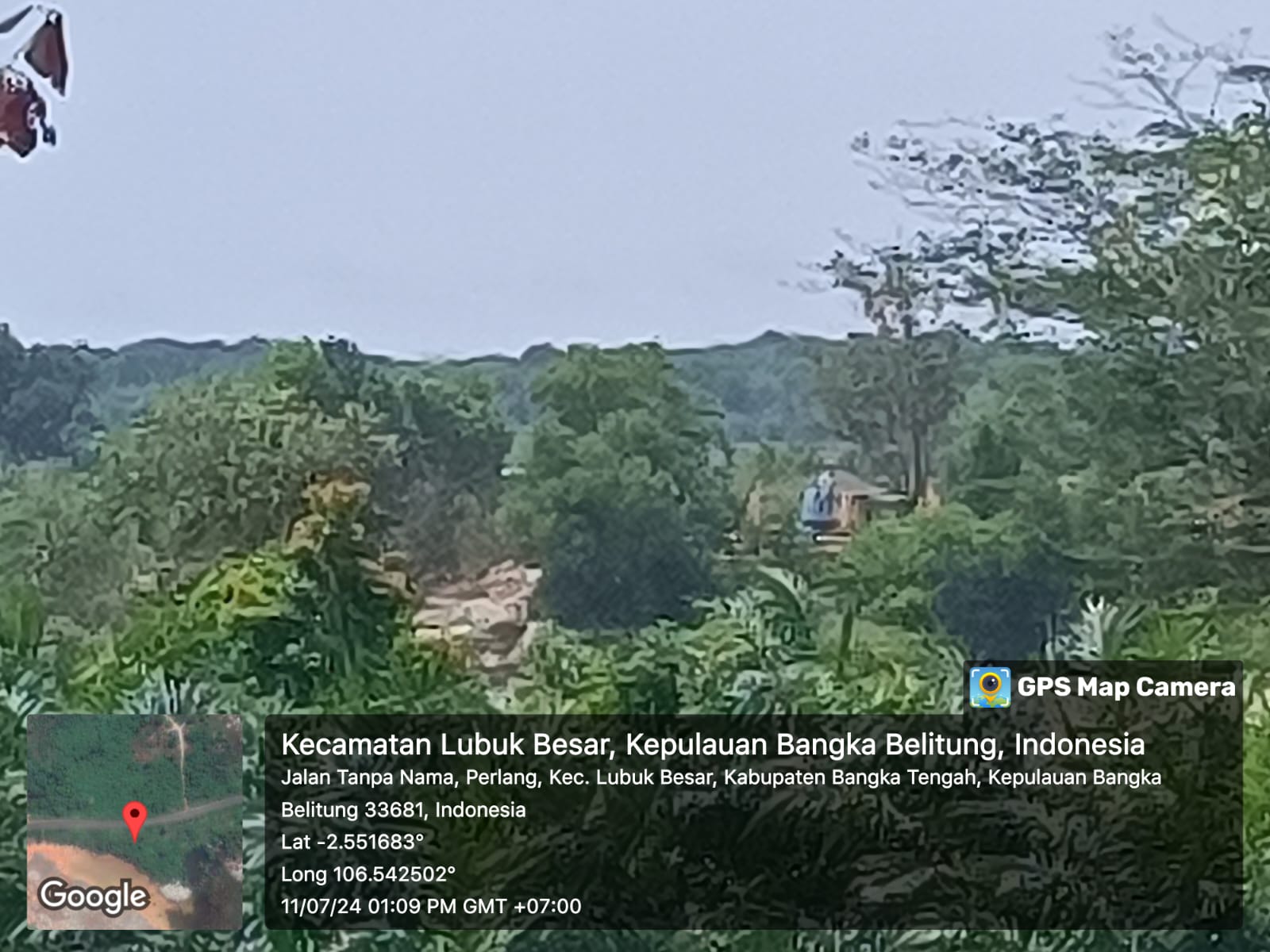 Alat Berat Berwarna Hijau hingga Biru Jarah Hutan di Dusun Nadi, Perlang
