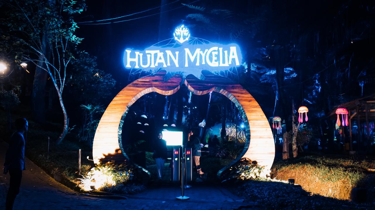 Viral! Hutan Mycelia, Sensasi Wisata Malam di Tengah Hutan Pinus Penuh Cahaya Cikole Lembang