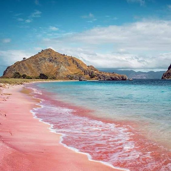 Wisata Pantai Pink Pulau Komodo, Surga Tersembunyi yang Wajib Dikunjungi