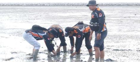Seribu Mangrove Ditanami di Sepanjang Pantai Terentang