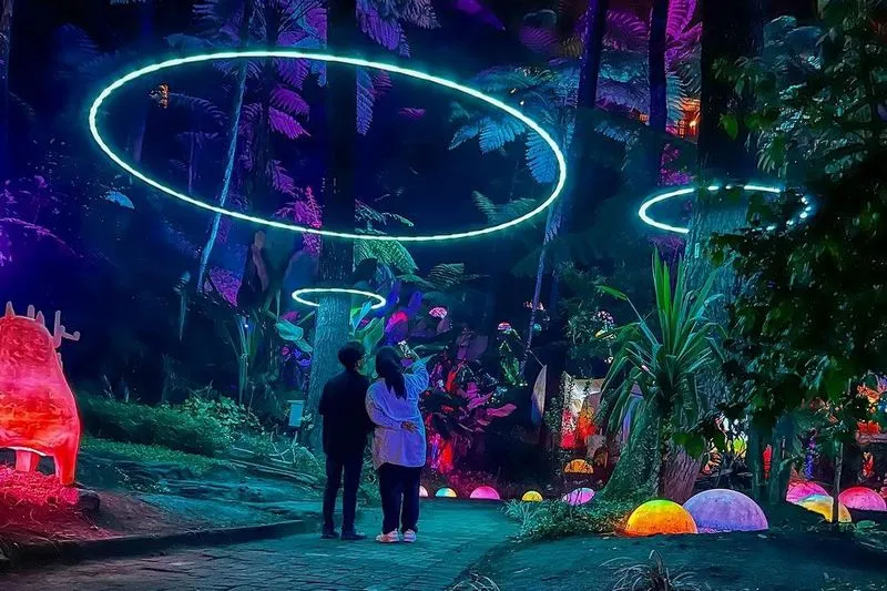 Pesona Keindahan Hutan Mycelia Bandung, Wisata Instagramable dan Edukasi