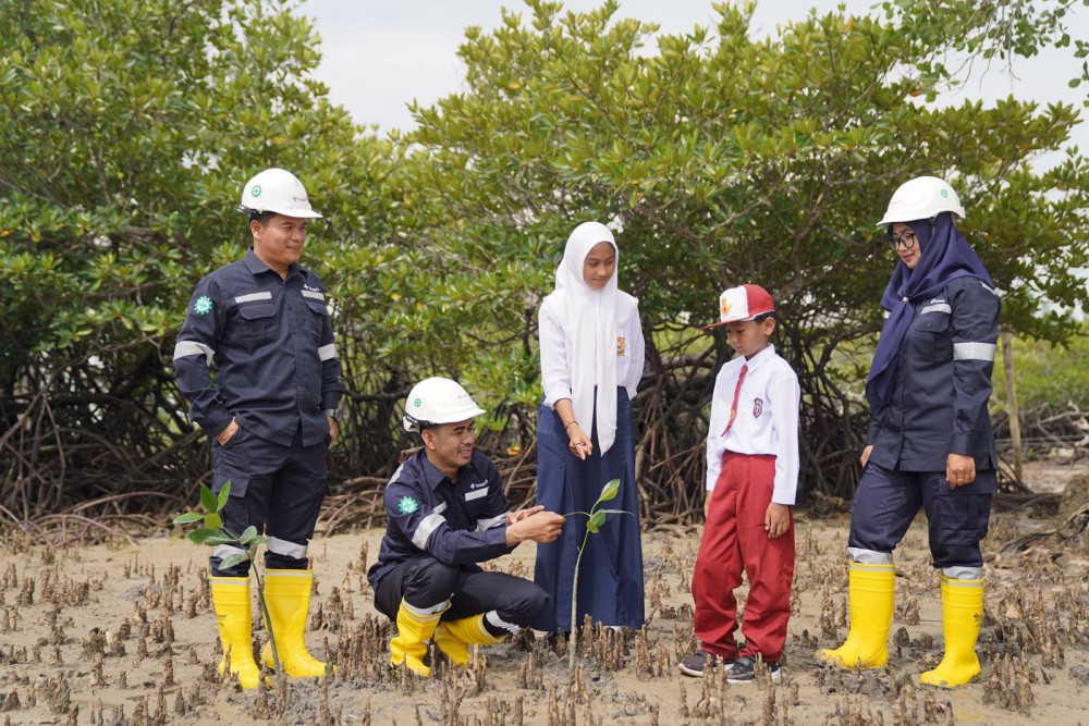Hingga Juli 24, PT Timah Sudah Tanam 32 Ribu Mangrove