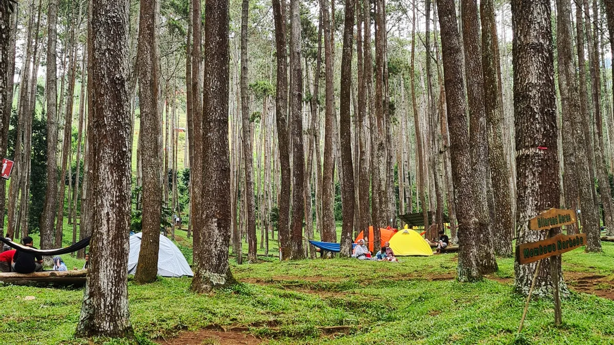 Wisata Batu Kuda Bandung, Nikmati Pesona Alam yang Segar Cocok untuk Camping dan Trail Running