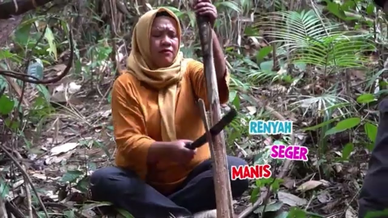 Mengenal 6 Manfaat Humbut Langkap, Tumbuhan Hutan Majeti Banjar Kaya Akan Sumber Nutrisi