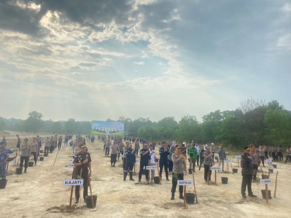 Tanam Ratusan Ribu Pohon, PT Timah Dukung Pemerintah Babel