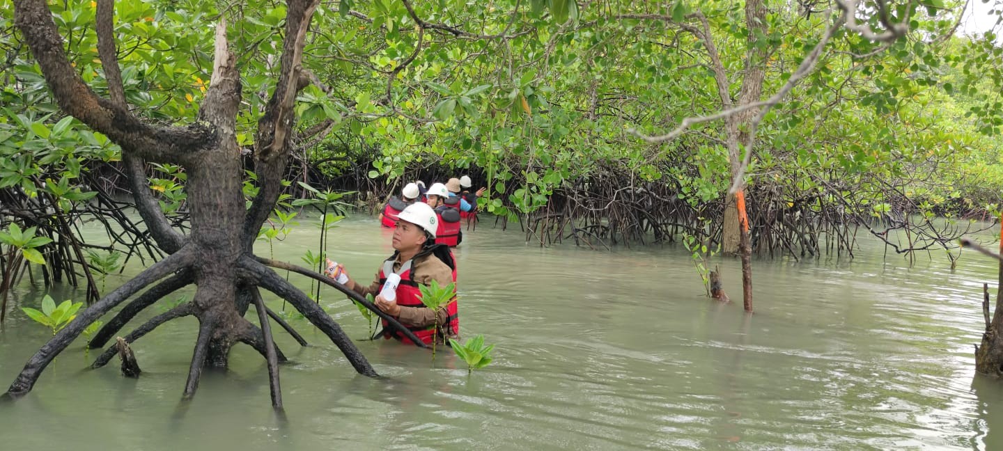 Ajak Ahli Kelautan dan Universitas, PT Timah Pantau Biota Laut