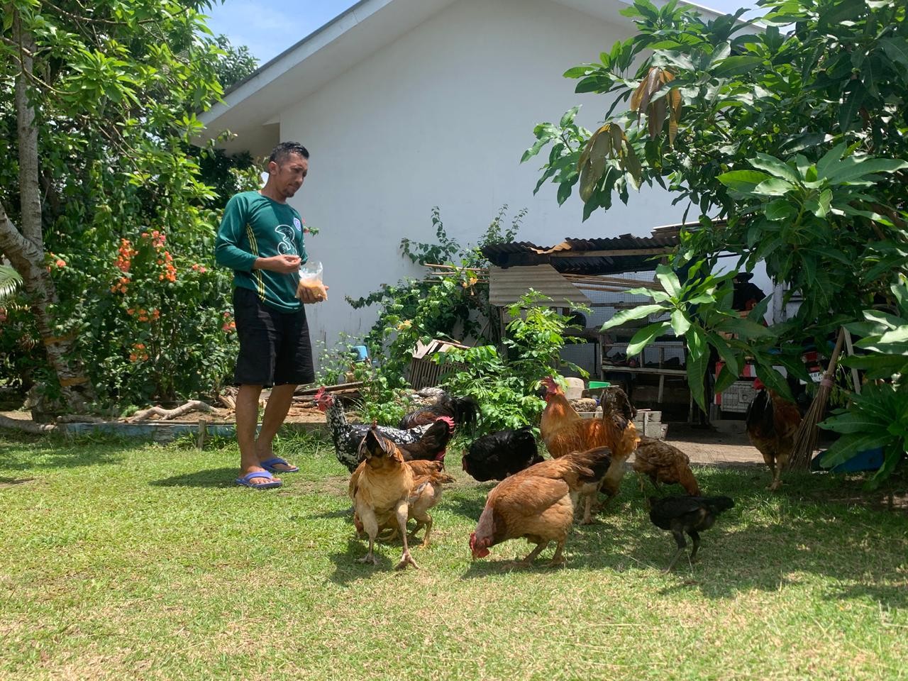 Karyawan Divisi Pengolahan dan Peleburan Mentok Diminta Manfaatkan Perkarangan Rumah