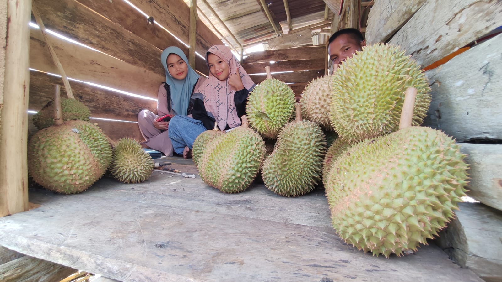 Miliki Daging Tebal dan Biji Kecil, Dua Wanita Toboali ini Borong Durian Bujang