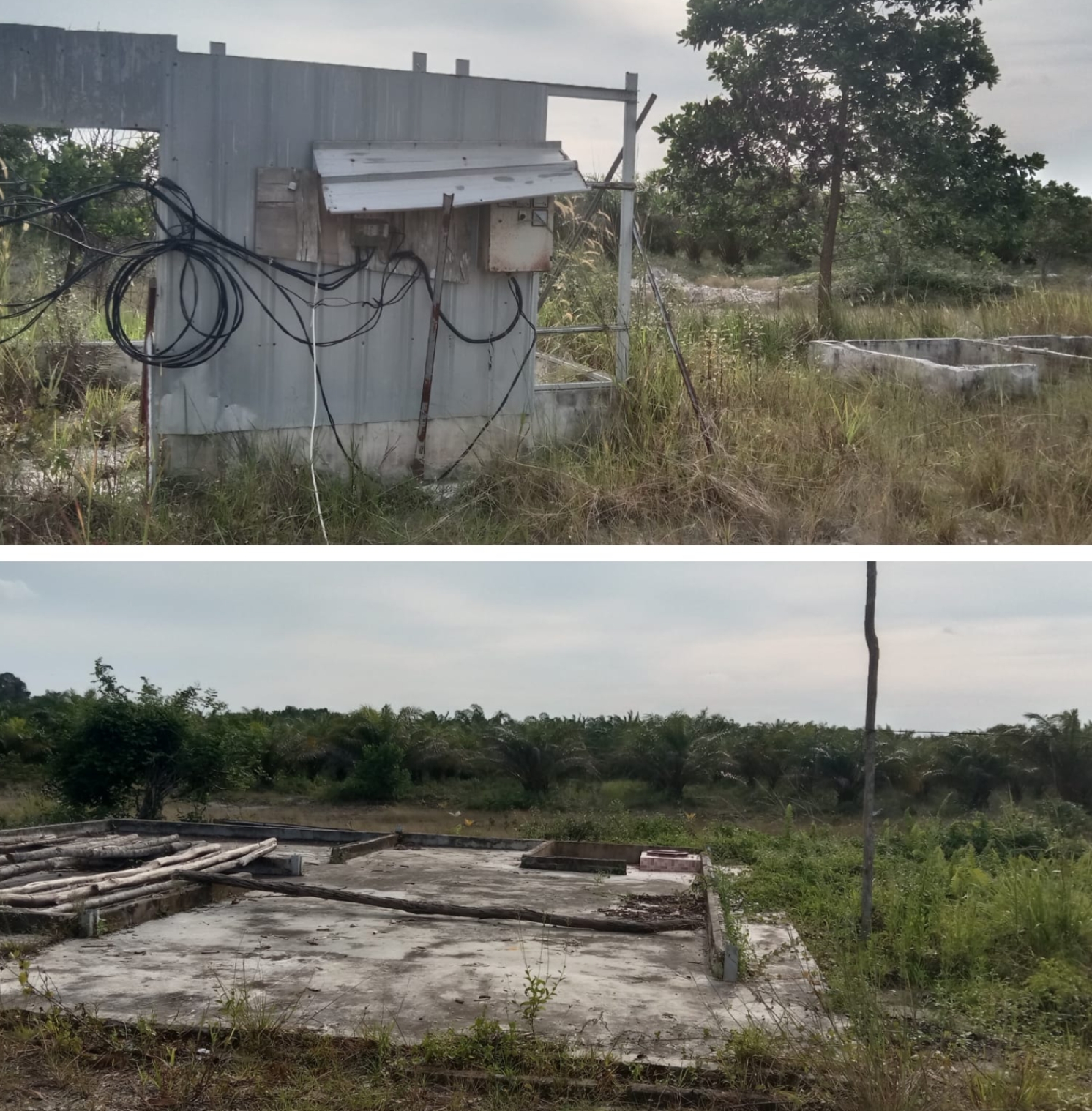 Mungkinkah Proyek Washing Plant PT Timah di Desa Penyamun, Lolos dari Jeratan Hukum?