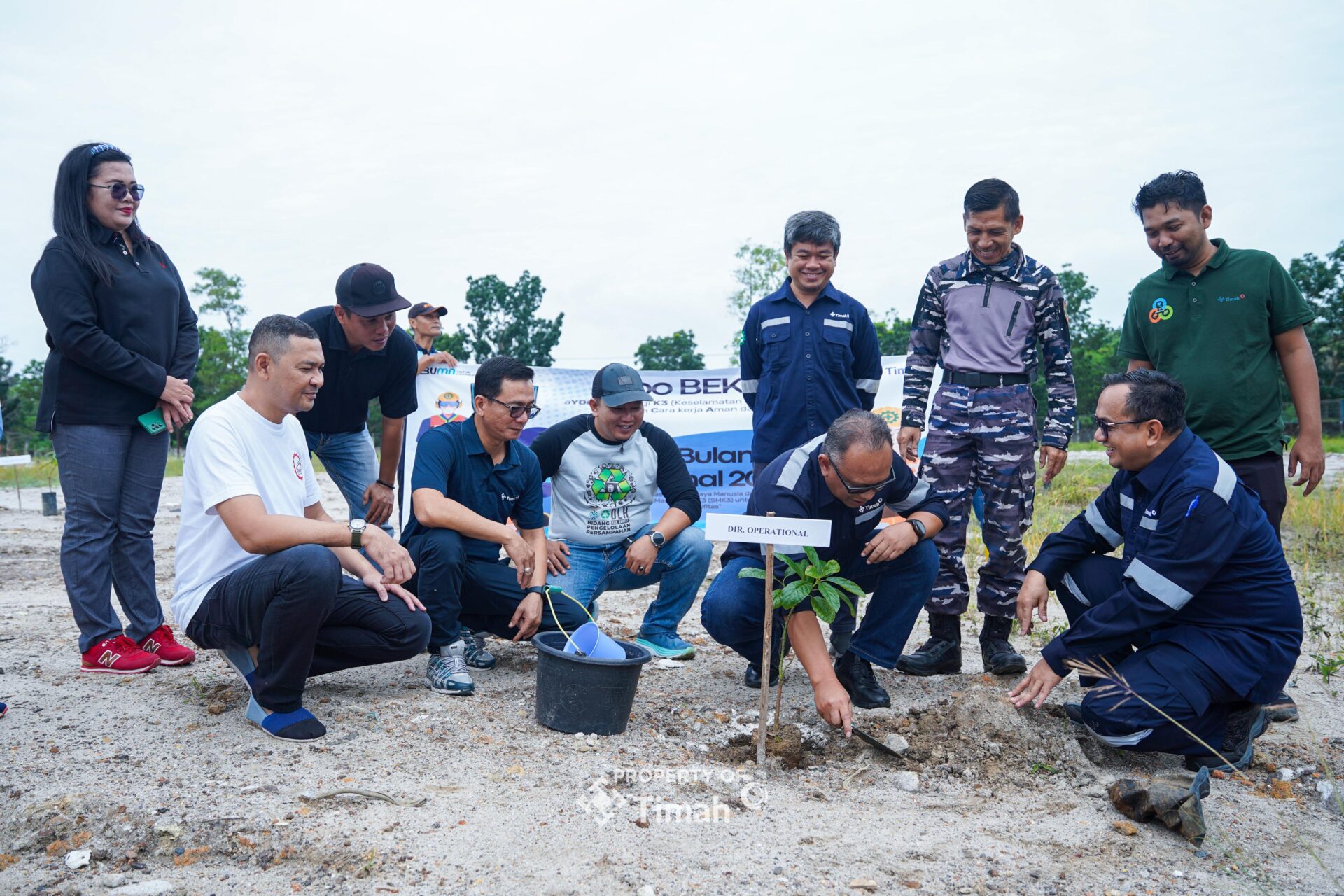 Bulan K3 Nasional, 500 Pohon Buah Ditanam PT Timah