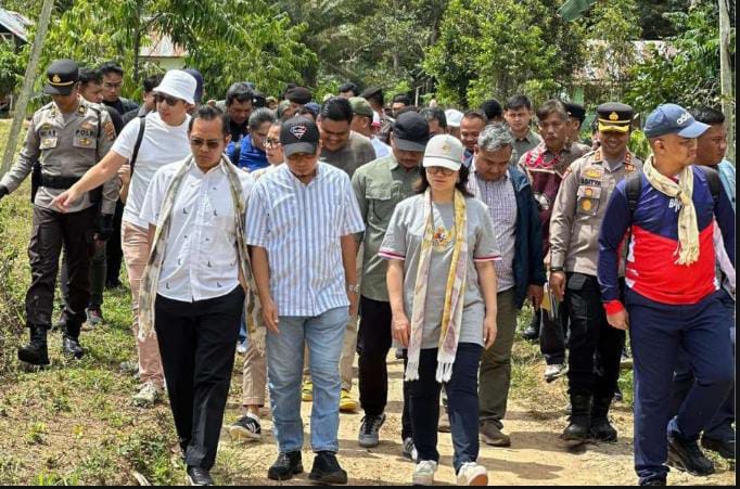 Sambut Baik Stella Christie, Algafry Siapkan Lahan 25,7 Hektar