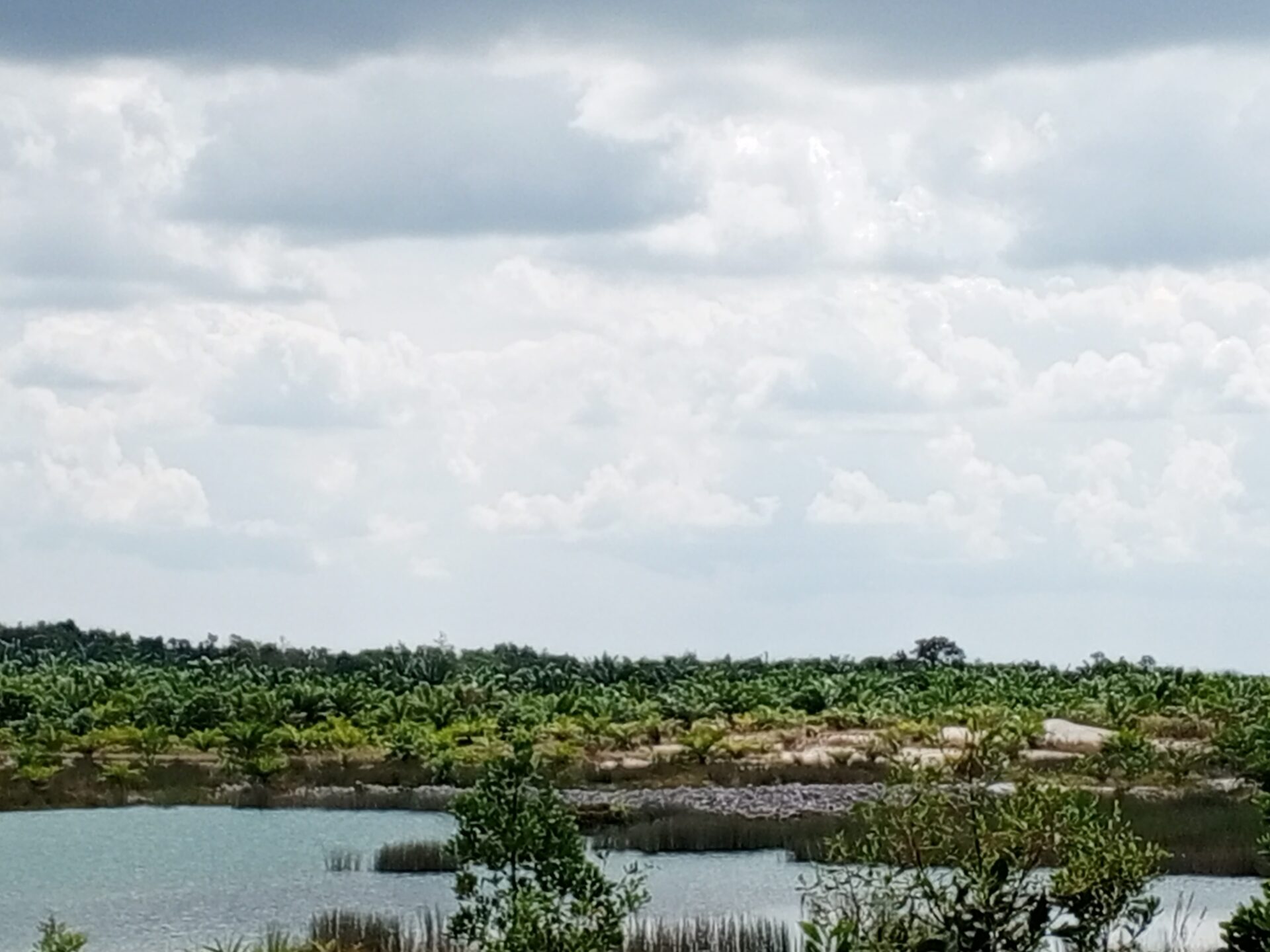 Dulu ada Washing Plant Milik PT Timah Disini, Aditia: Sudah Dipindahkan