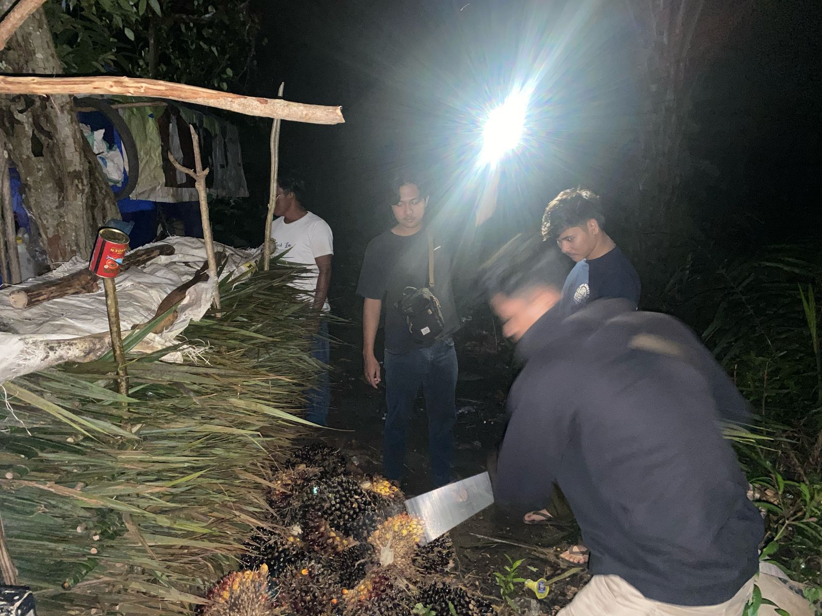 Komplotan Pencuri Sawit Ditangkap Polres Bangka Selatan