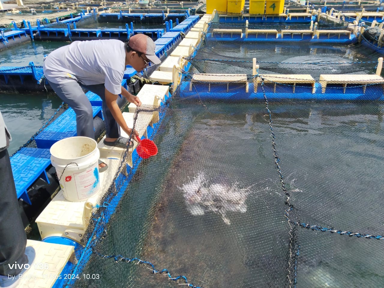 Pokdakan Tuah Bersatu Kini Kembangkan Sayap