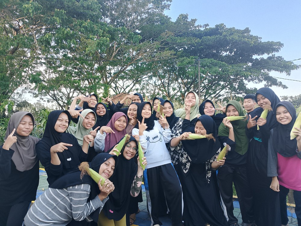 Pelajar Pemali Boarding School Berhasil Panen Jagung