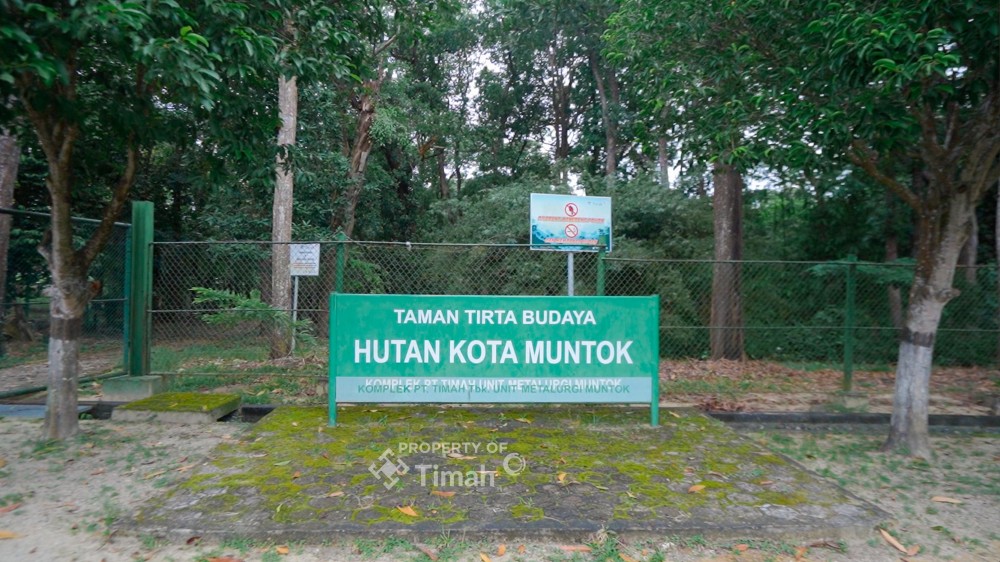 Ratusan Jenis Flora dan Fauna Hidup di Taman Tirta Budaya Hutan Mentok