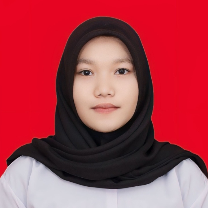 Perkembangan Ekonomi Digital di Bangka Belitung