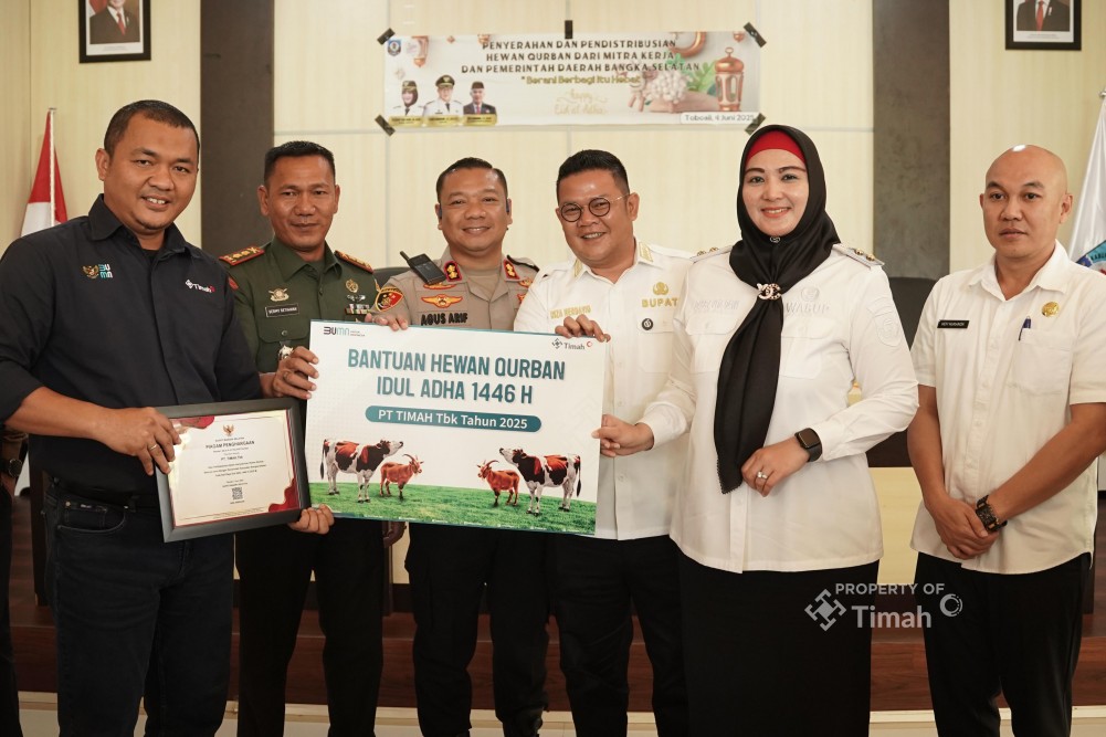 PT Timah Saluran 30 Sapi untuk Masyarakat Bangka Selatan