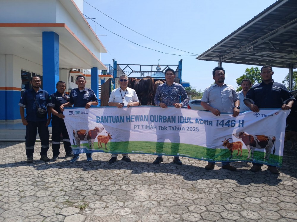 PT Timah Salurkan Hewan Kurban Melalui Instansi dan Organisasi