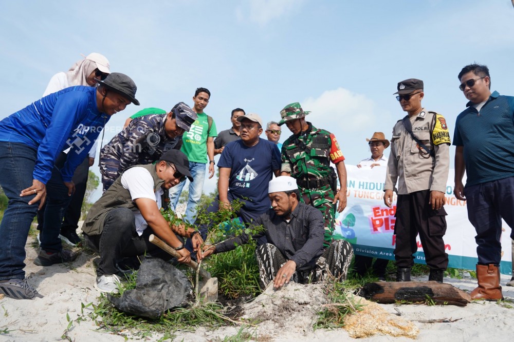 Pantai Batu Tunggal Ditanami Pohon Ketapang Kencana