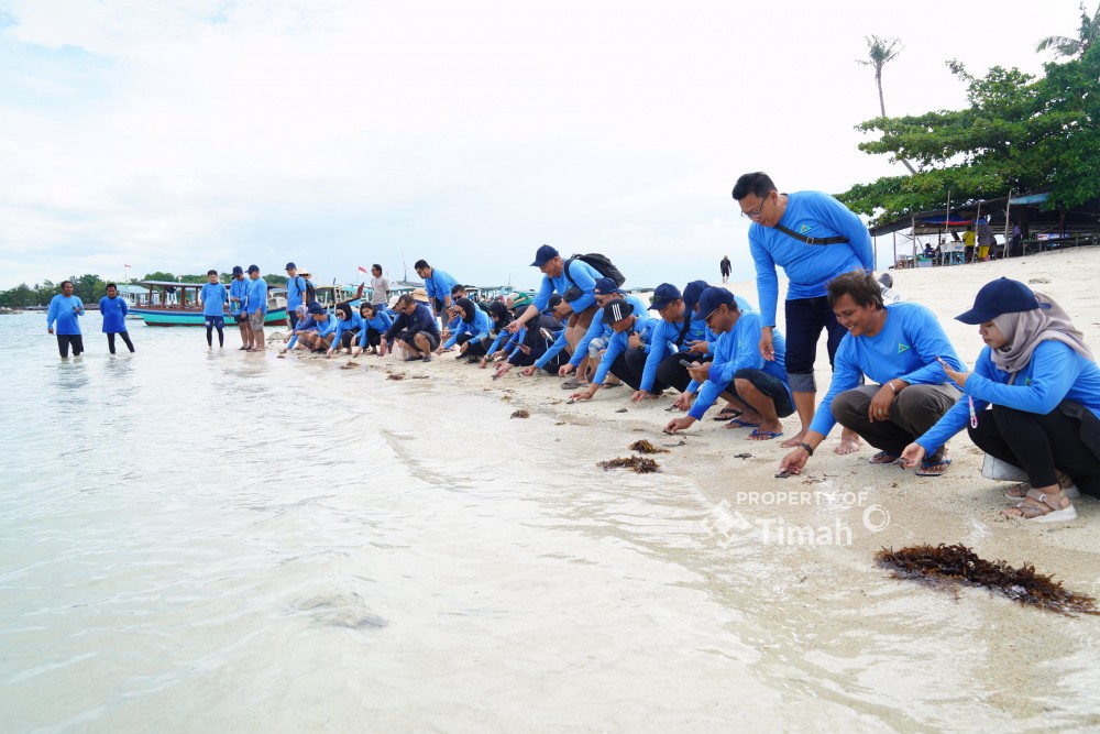 50 Tukik Dilepasliarkan di Pantai Pulau Kelayang